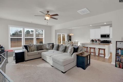 Photo of 163 Summer Orchard Drive, Lexington, SC 29072 (MLS # 624489)