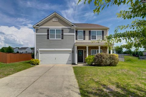 Photo of 869 Sunseeker Drive, Chapin, SC 29036 (MLS # 636262)
