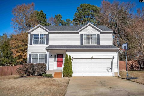 A home in Chapin