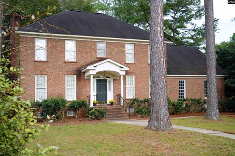 Photo of 201 Chimney Hill Road, Columbia, SC 29209 (MLS # 619420)