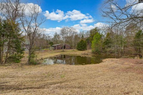 A home in Irmo