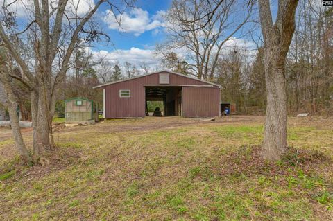 A home in Irmo