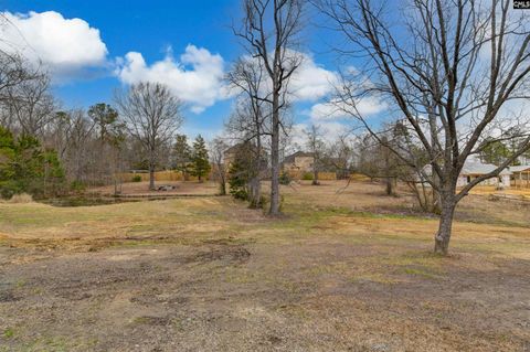 A home in Irmo