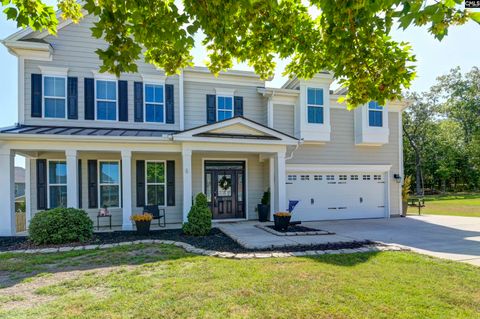 A home in Chapin