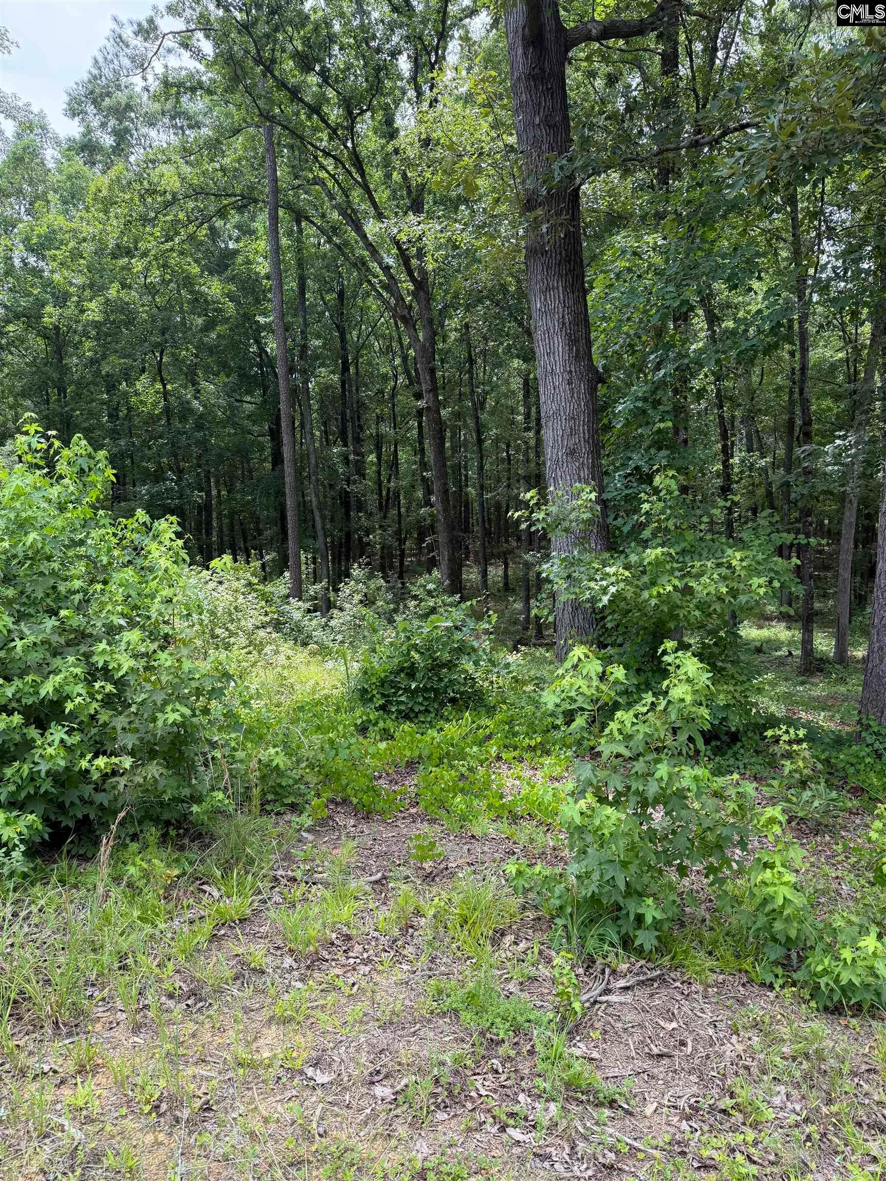 1405 Mullis Road