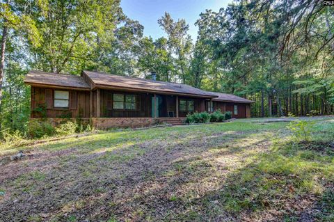Photo of 1546 Muller Road, Blythewood, SC 29016 (MLS # 619442)