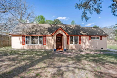 Photo of 2828 Old Barnwell Road, Lexington, SC 29073 (MLS # 629442)