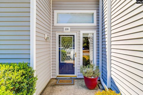 Photo of 239 Mariners Row, Columbia, SC 29212 (MLS # 630904)
