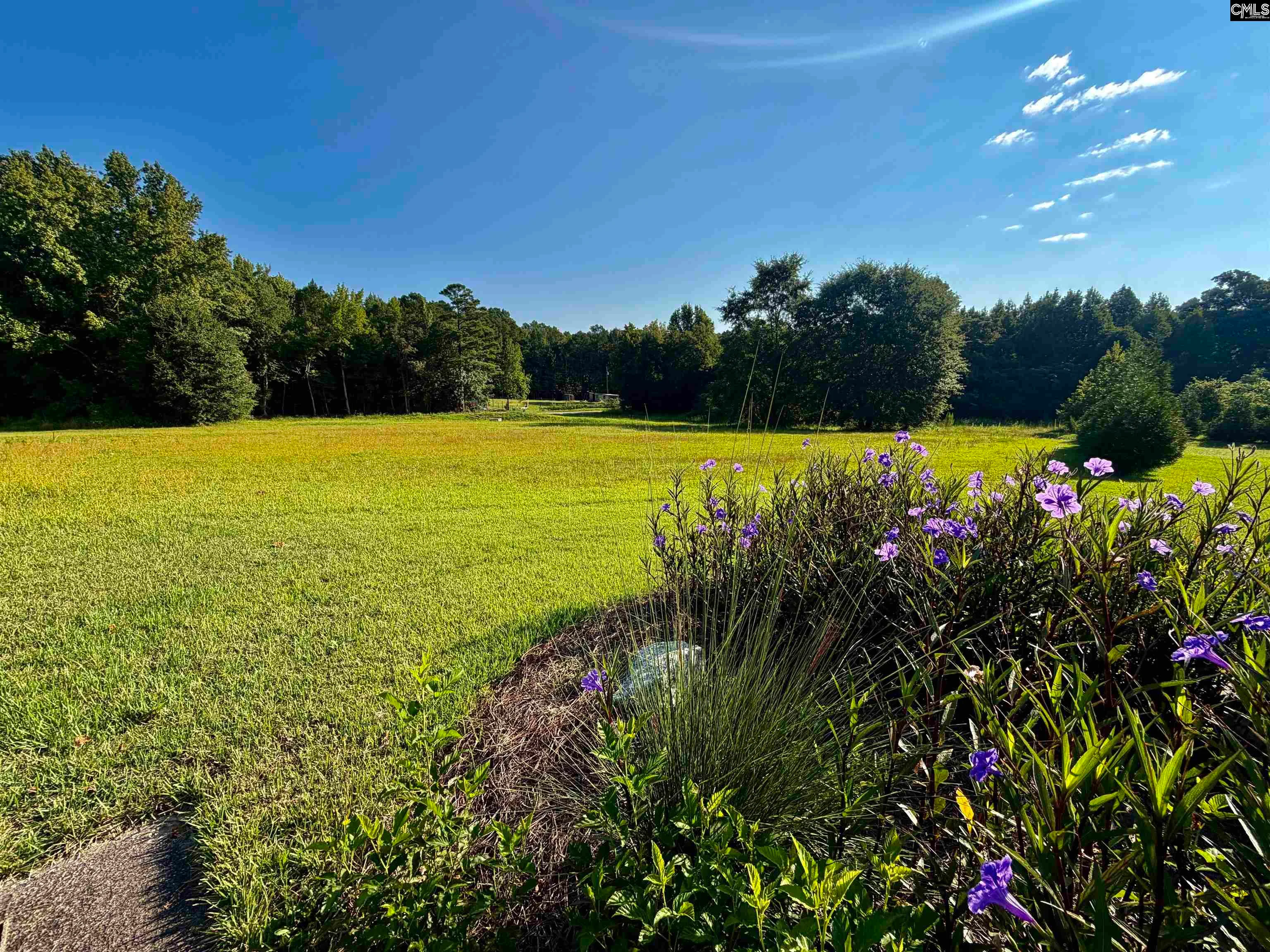 127 Deer Ridge Drive