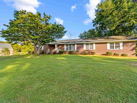 168 Folk Street, Pomaria, SC 29126 - MLS#: 604852