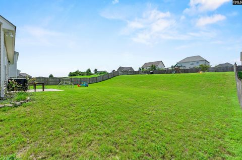 Photo of 623 Winterfield Drive, Lexington, SC 29073 (MLS # 627232)