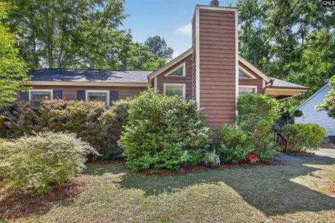 Photo of 884 Old Orangeburg Road, Lexington, SC 29073 (MLS # 632817)