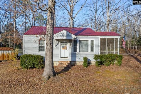 Photo of 100 Point Street, Chapin, SC 29036 (MLS # 624603)