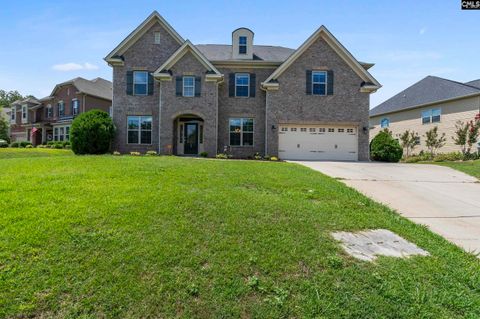 A home in Chapin