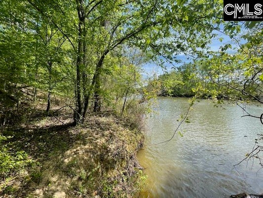 STATE HIGHWAY 121, SILVERSTREET, SC 29145 - Image b13b6972dfdcd5385e236637f7e5706b/2363681543
