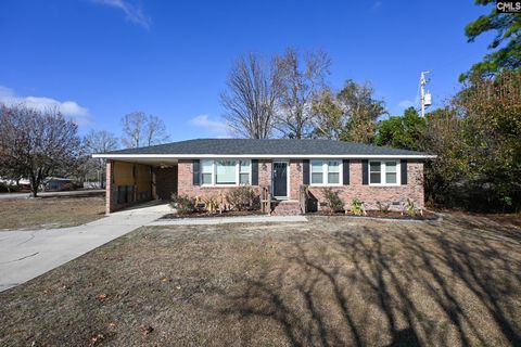 Photo of 1036 Rawl Road, Lexington, SC 29072 (MLS # 623024)