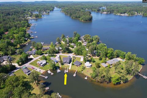 A home in Chapin