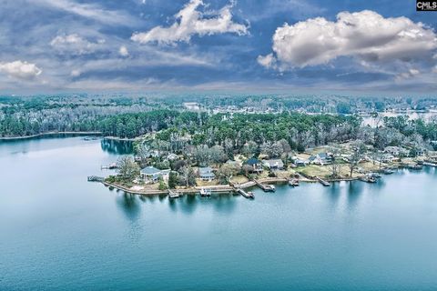 Photo of 215 Westridge Court, Chapin, SC 29036 (MLS # 628251)