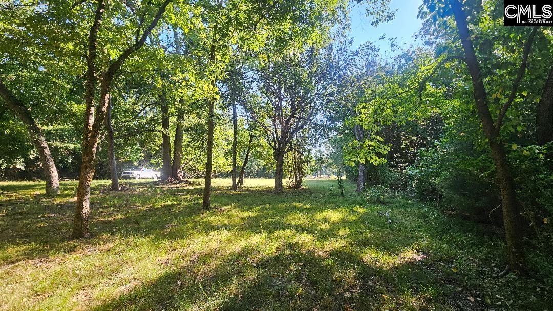 142 Crystal Creek Cr Cir, Chapin, SC, 29036