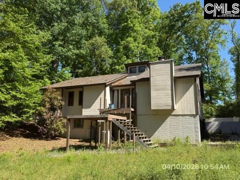 Photo of 248 Bishopgate Road, Columbia, SC 29212 (MLS # 631321)