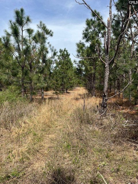 Bdf 6 Beaverdam Road Cassatt Sc 29032