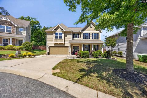 Photo of 436 Maria Posada Ct Ct, Chapin, SC 29036 (MLS # 632657)