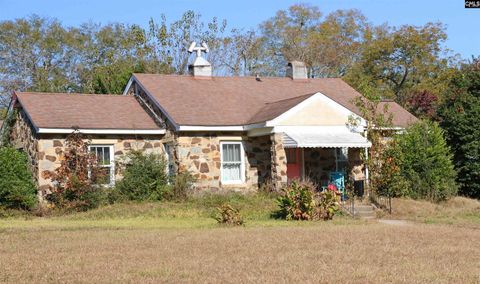 Photo of 181 Louie Street, Wagener, SC 29164 (MLS # 621167)