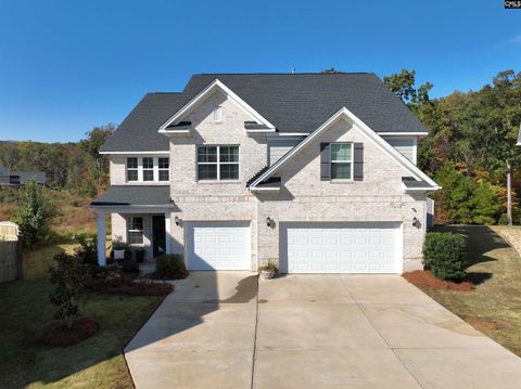 Photo of 13 Botticelli Court, Chapin, SC 29036 (MLS # 621045)