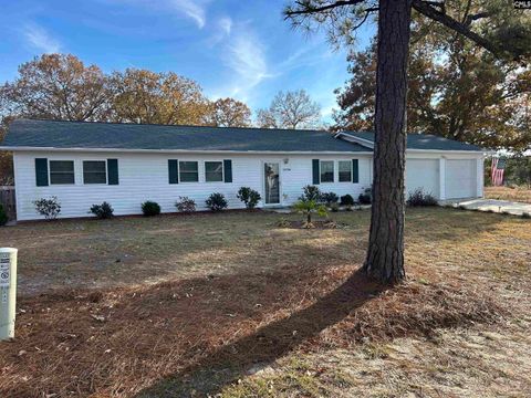 Photo of 2533 Watson Street, Elgin, SC 29045 (MLS # 621960)
