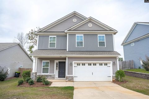 A home in Chapin