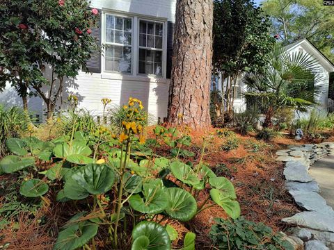 A home in Columbia