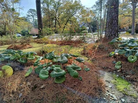 A home in Columbia