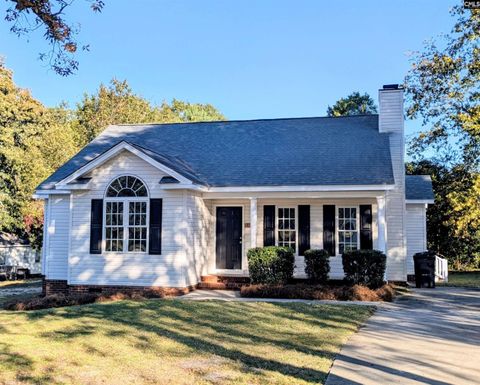 Photo of 411 Black Avenue, Lexington, SC 29072 (MLS # 624513)