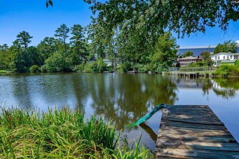 Photo of 7808 Pinelake Road, Columbia, SC 29223 (MLS # 642411)