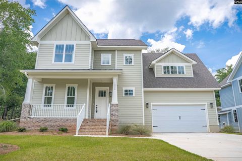 Photo of 1040 Refuge Place Pl, Chapin, SC 29036 (MLS # 610791)