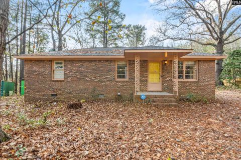 Photo of 812 Basil Road, Swansea, SC 29160 (MLS # 623655)