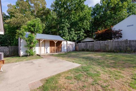 A home in Irmo