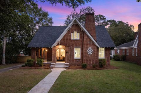 Photo of 1120 Edgefield Street, Columbia, SC 29201 (MLS # 620103)