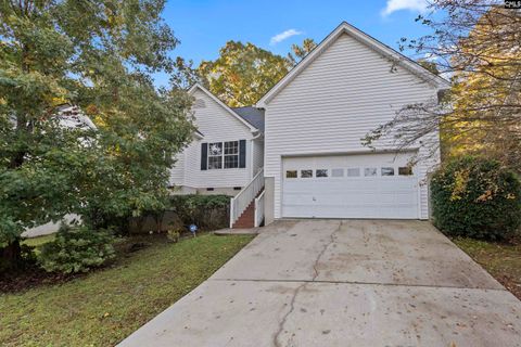 Photo of 128 Beech Branch Drive, Irmo, SC 29063 (MLS # 621333)