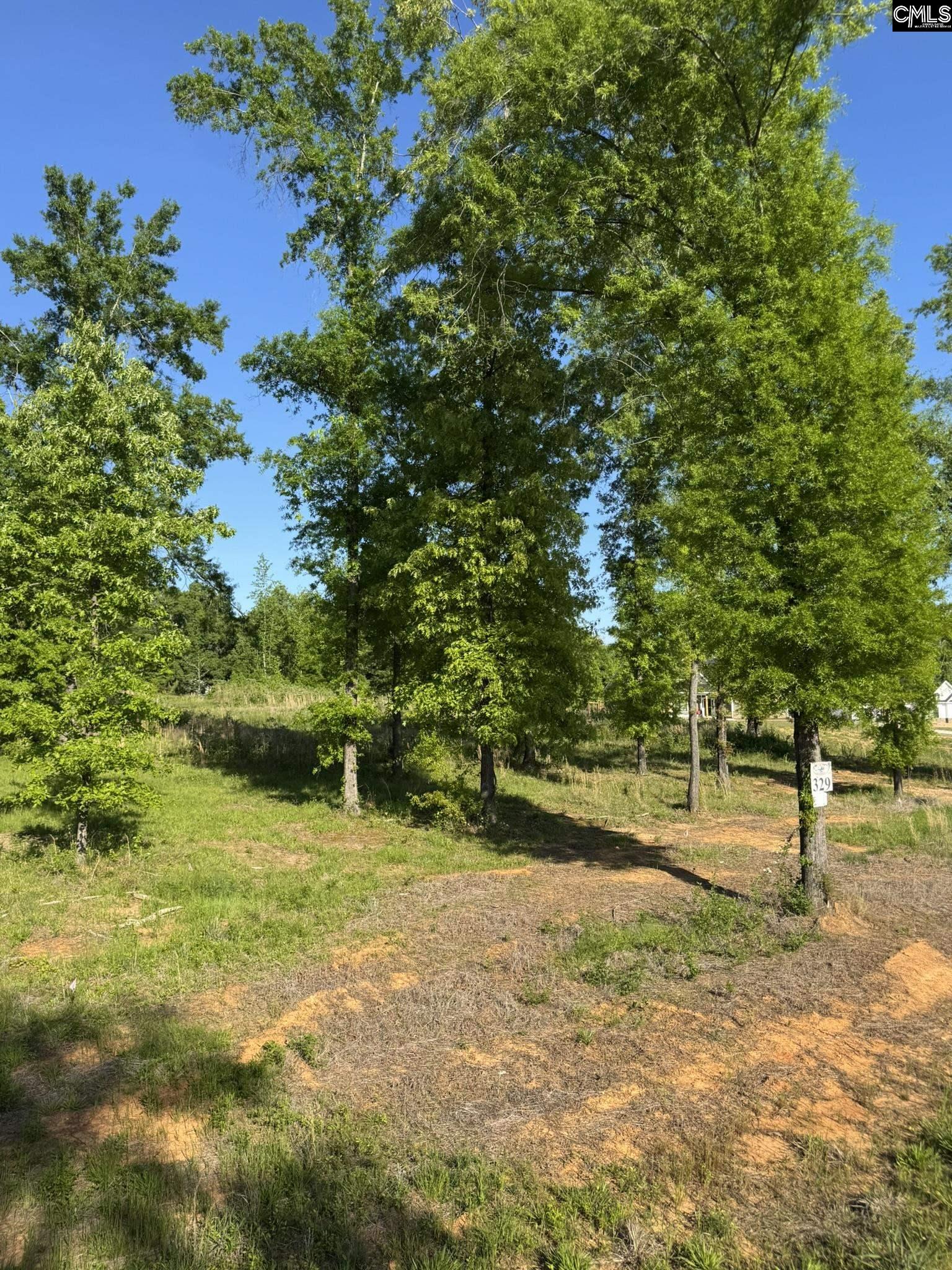 238 Navigator Trail - Photo 3