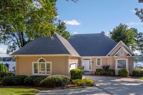 A home in Chapin