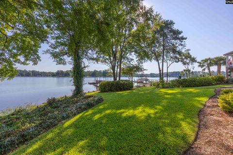 A home in Chapin