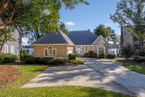 A home in Chapin