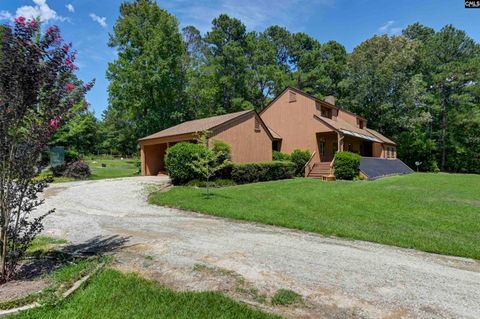 Photo of 1100 Bookie Richardson Road, Chapin, SC 29036 (MLS # 638365)