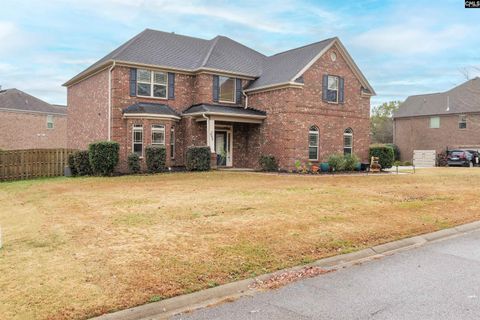 Photo of 646 Village Market Drive, Chapin, SC 29036 (MLS # 629135)
