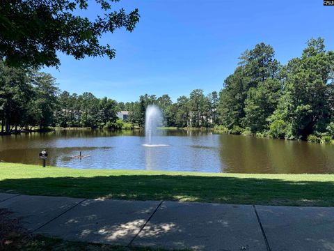 A home in Blythewood