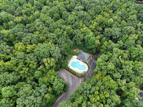 A home in Blythewood