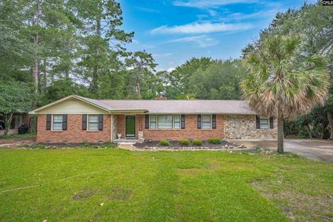 Photo of 6923 Wedgefield Road, Columbia, SC 29206 (MLS # 629259)