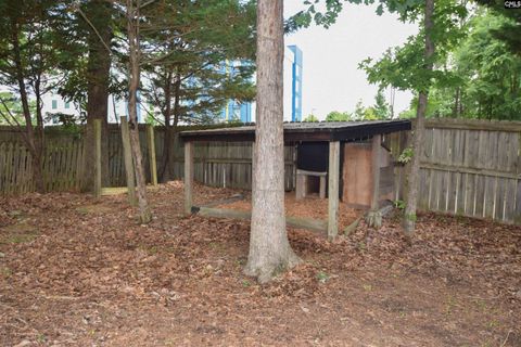 A home in Irmo