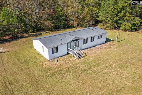 A home in Chapin